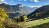 Discovering the wild plants of the Brevon Valley_Bellevaux