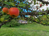 c705b73e-a081-45c4-82f2-d75e940ed13b-53249