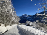 img-3099-74119 img-3099-74119