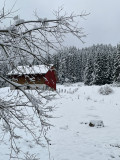 img-5578-62087