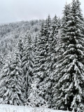 img-5585-62088
