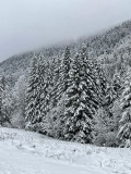 img-5586-62090