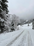 img-5589-62089