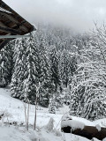 img-5591-62091