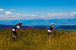 Descente des Moises jusqu'au lac Léman