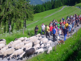 L'emmontagnée à Vailly_Vailly