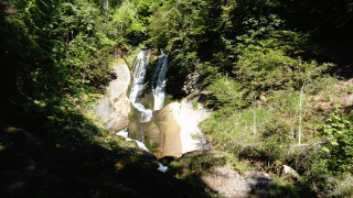 Les murmures de l'eau