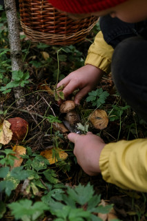 A hauteur de parents : Ateliers nature à Bellevaux_Bellevaux