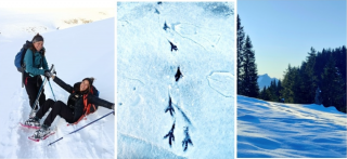 Au cœur des chemins blancs_Habère-Lullin Au cœur des chemins blancs_Habère-Lullin