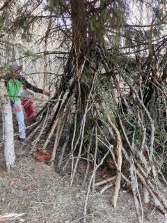 Construction d'une cabane