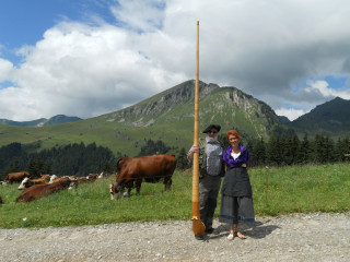 les baboleries de l'Irmande
