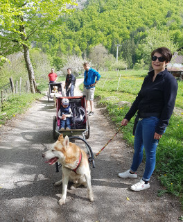 Sulky attelé Sulky attelé