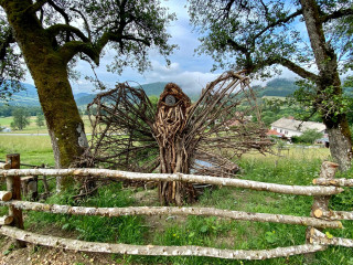 La Vouivre - sculpture en bois flottée