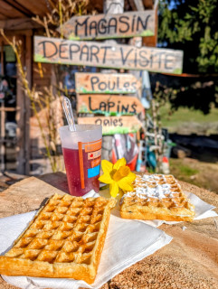 Farm snack_Bellevaux