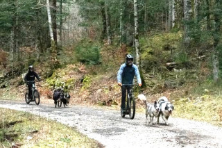 Activités chiens nordiques sur le plateau des Moises_Habère-Poche Activités chiens nordiques sur le plateau des Moises_Habère-Poche