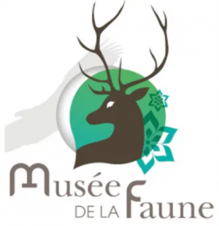 Musée de la Faune_Bellevaux
