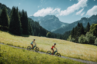 Trottinette électrique  découverte des alpages et du lac de Vallon