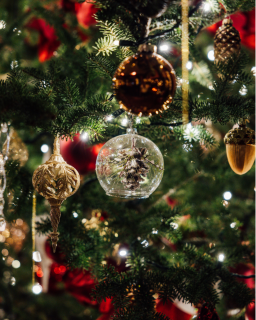 Distribution sapins de Noël_Bellevaux