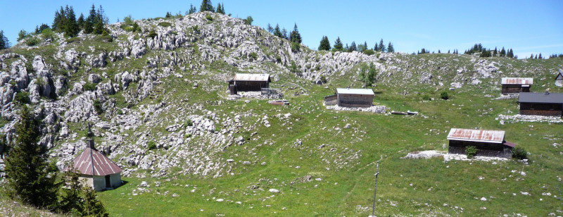 Rando naturaliste en montagne