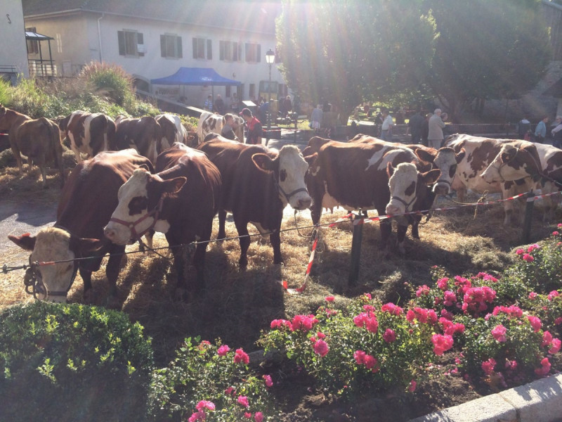 Foire de la St Maurice