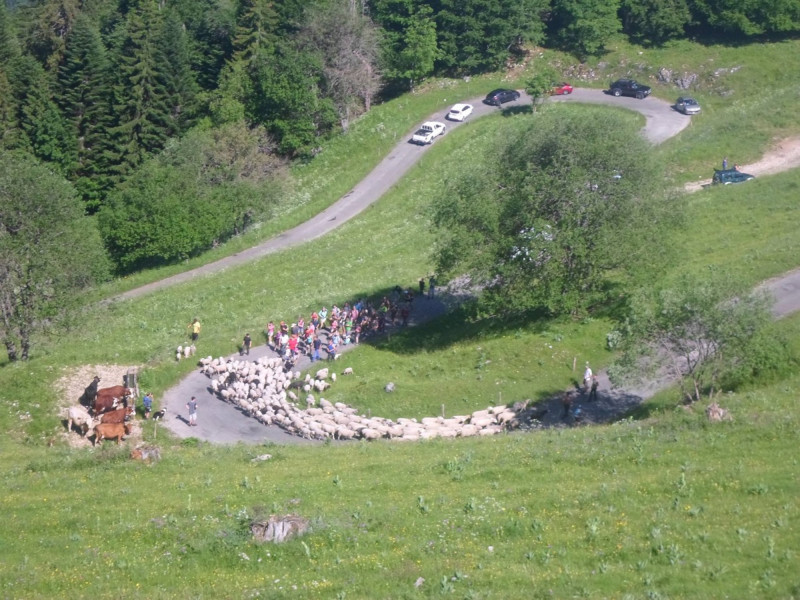 L'emmontagnée à Vailly_Vailly