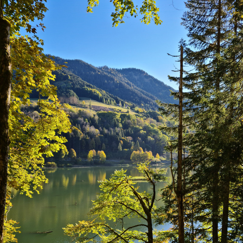 La Course au Trésor Englouti_Bellevaux