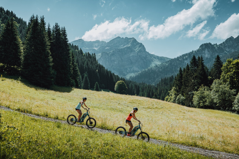 Trottinette électrique  découverte des alpages et du lac de Vallon