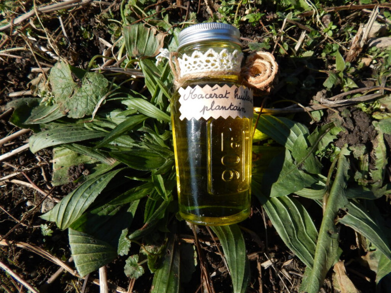 Formules et Potions