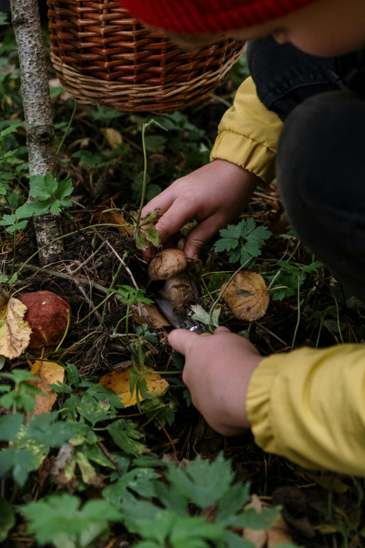 A hauteur de parents : Ateliers nature à Bellevaux_Bellevaux