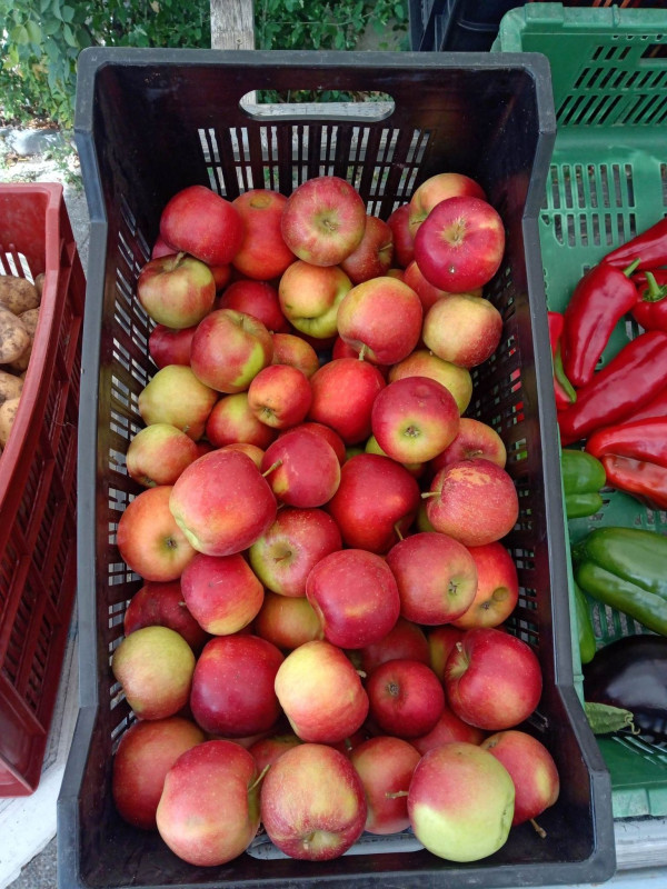 Fête de la Pomme_Habère-Poche