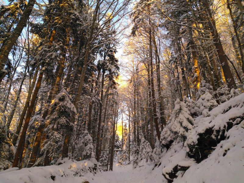 Week-end Trek Nature_Habère-Lullin Week-end Trek Nature_Habère-Lullin