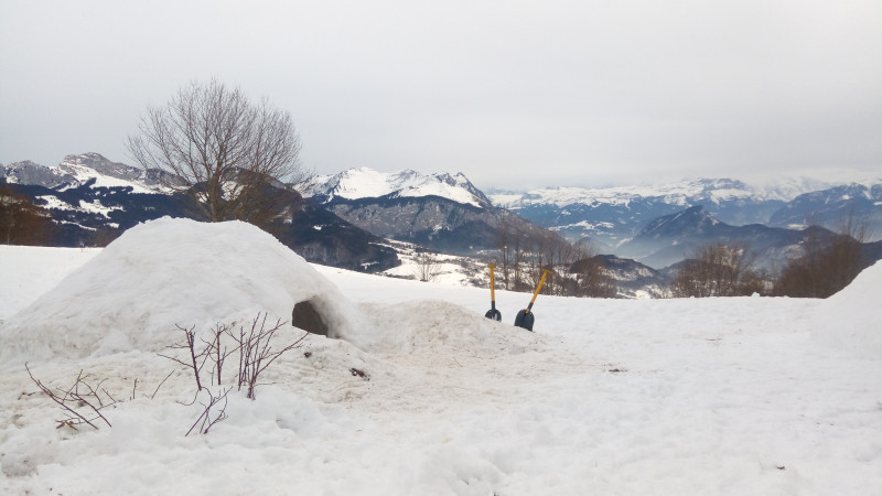 L'appel de la forêt L'appel de la forêt