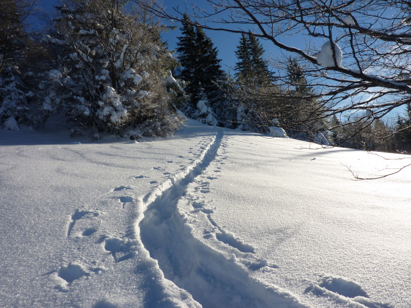 Faites de la Raquette Faites de la Raquette