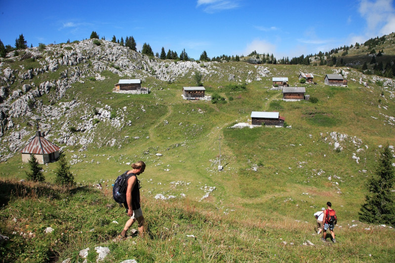 Alpage de Nifflon - © OT ADL / G. Place Alpage de Nifflon