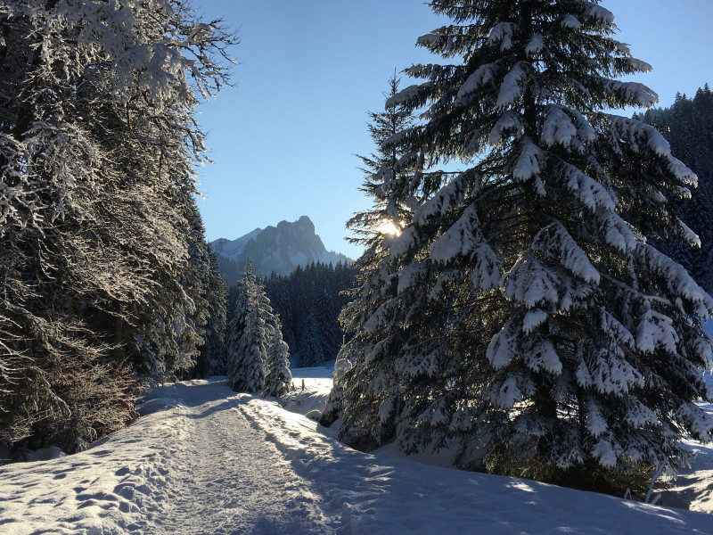 Plaisirs d'hiver - © OT ADL Plaisirs d'hiver