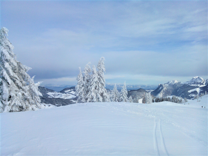 Séjour Promoski Hirmentaz-LesHabères - © OT Alpes du Léman Séjour Promoski Hirmentaz-LesHabères