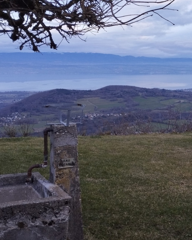 Randonnée nordique du flocon à la vague_Habère-Poche