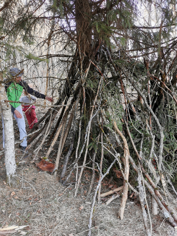 Construction d'une cabane