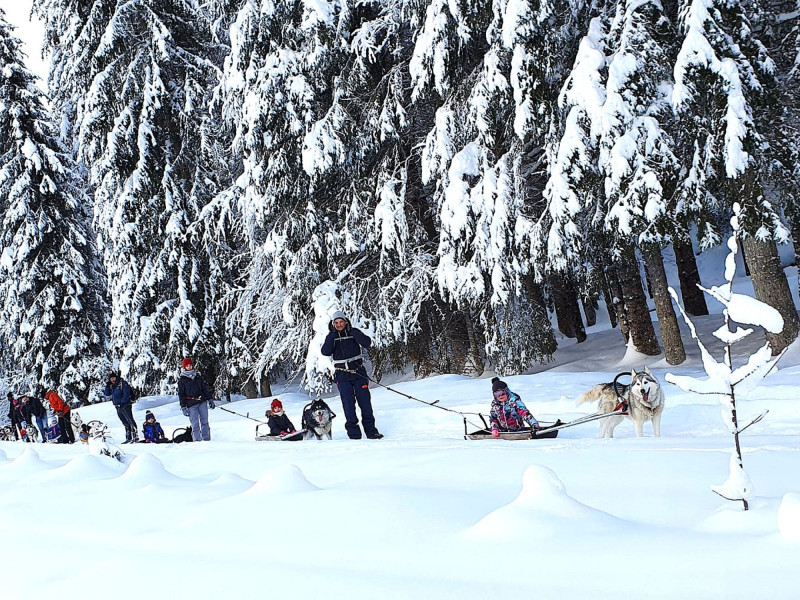 Scandinavian Pulka_Bellevaux - © Traineaux passion -Parc nordique Scandinavian Pulka_Bellevaux