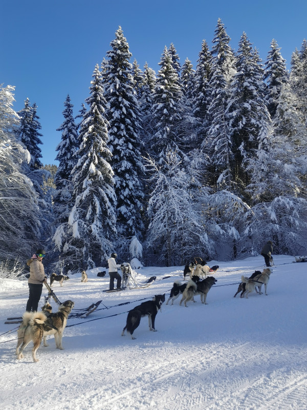 Préparation des attelages