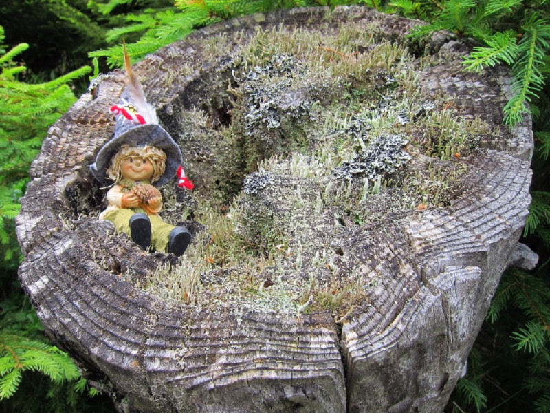 Rando et balade à thème Rando et balade à thème