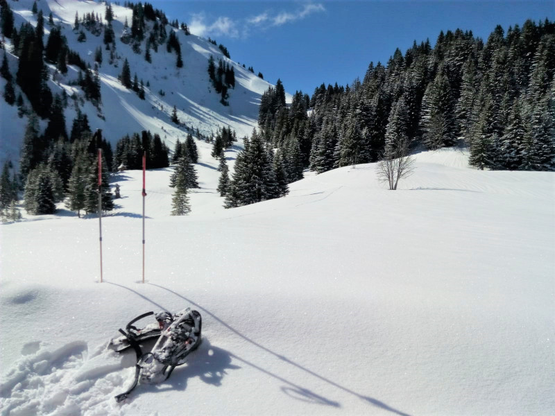 Rando raquettes Rando raquettes