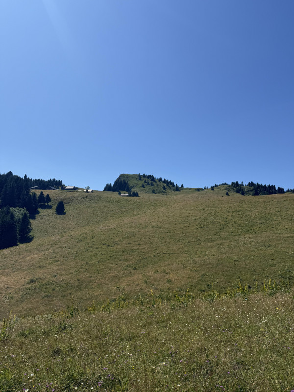 Randonnée au cÅ“ur des alpages de Vallon - Semaines du Géoparc_Bellevaux - © Sixtine Voisin- OT Alpes du Léman Randonnée au cÅ“ur des alpages de Vallon - Semaines du Géoparc_Bellevaux