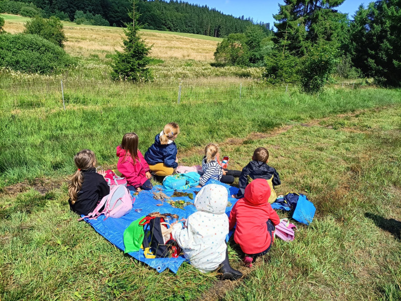 The fairy challenge - special for groups_Habère-Poche