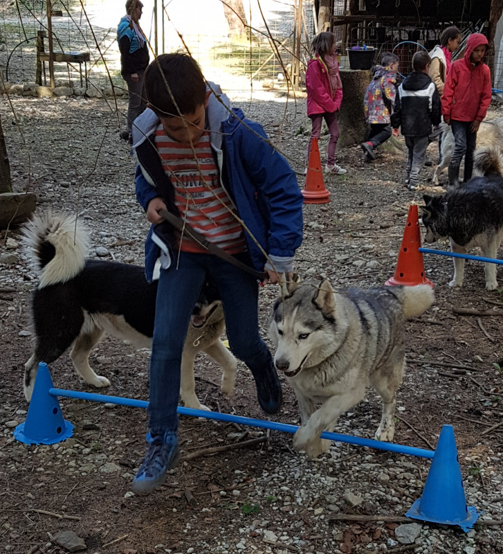 Les Ateliers du Parc Nordique - Agilty Les Ateliers du Parc Nordique - Agilty