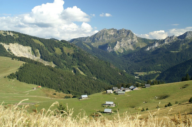 Hiking in the Vallon pastures_Bellevaux - © OT Alpes du Léman Hiking in the Vallon pastures_Bellevaux