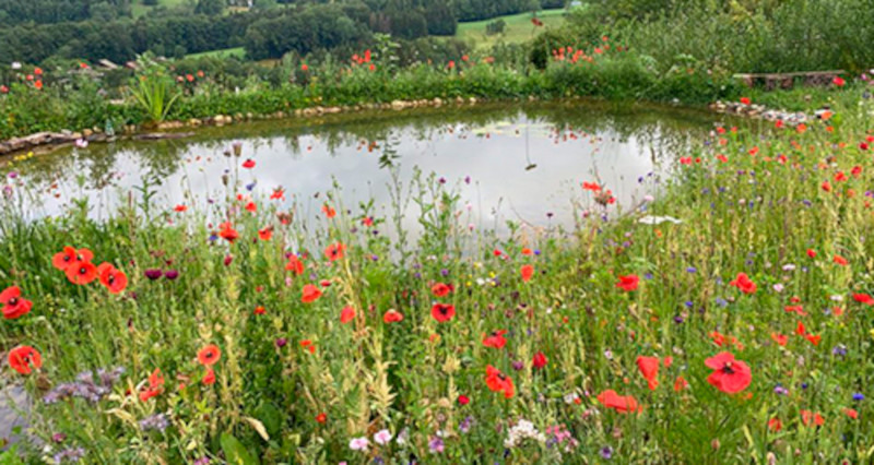 Visite du Jardin et Pause Gourmande_Habère-Lullin