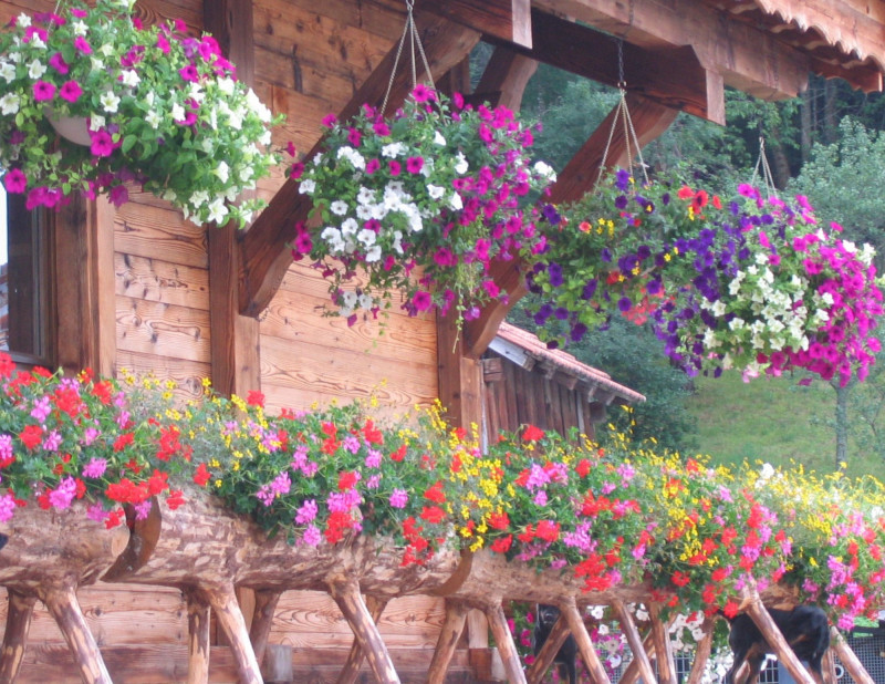 Vente de fleurs_Vailly - © OT Alpes du Léman - VS Vente de fleurs_Vailly