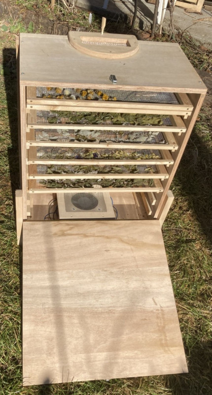 Atelier plantes sauvages, jardin et low-techs_Bellevaux