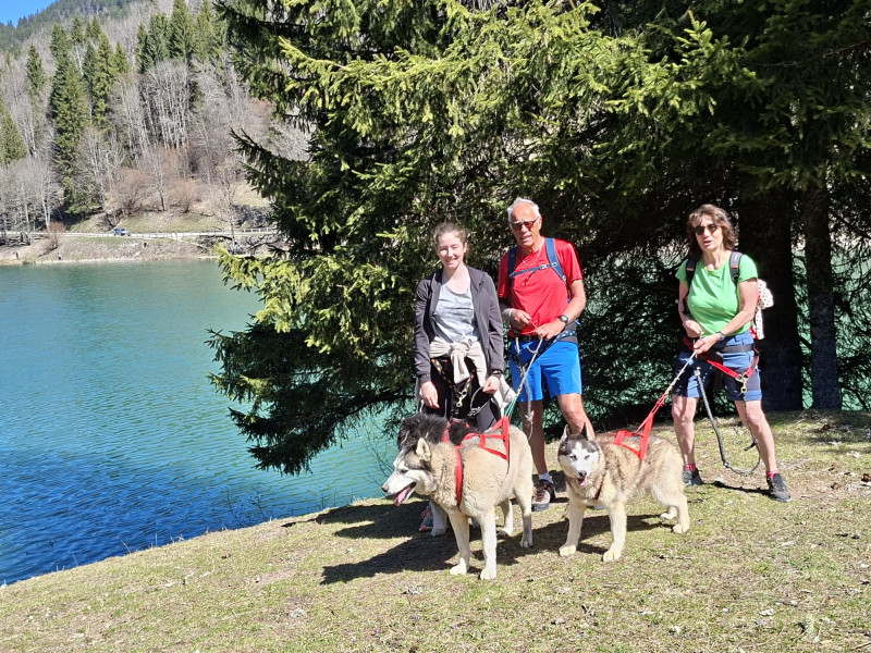 Winter doghiking_Bellevaux